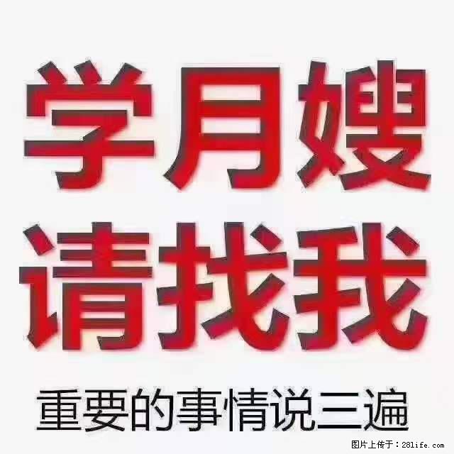 为什么要学习月嫂，育婴师？ - 其他广告 - 广告专区 - 抚州分类信息 - 抚州28生活网 fuzhou.28life.com