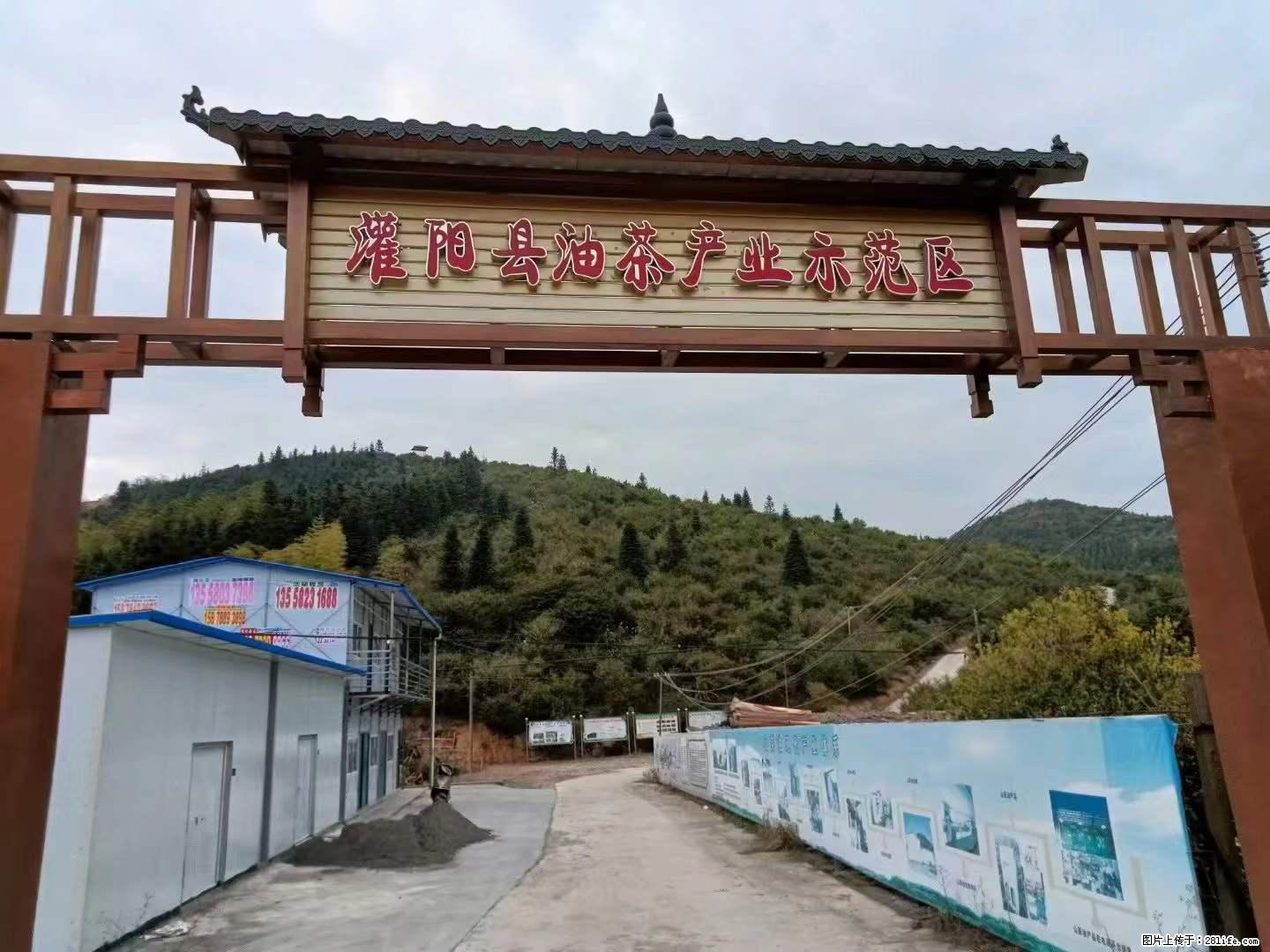 【灌阳县油茶产业示范区】一个有着充实的精神生活的人,对待身外之物自会有一种淡泊的态度 - 土特产 - 饮食特产 - 抚州分类信息 - 抚州28生活网 fuzhou.28life.com