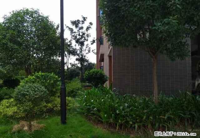 万象新城对面,里面有简单家具,2室2厅82平米 押一付三 - 房屋出租 - 房屋租售 - 抚州分类信息 - 抚州28生活网 fuzhou.28life.com