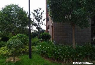 万象新城对面，里面有简单家具，2室2厅82平米 押一付三 - 抚州28生活网 fuzhou.28life.com