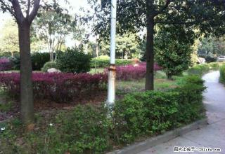 租办公沃尔玛融旺国际 - 抚州28生活网 fuzhou.28life.com