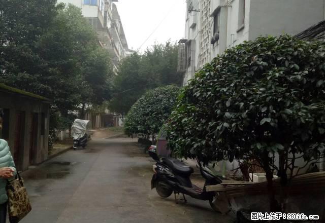 出租!四小旁 安全停车 两室一厅 家电齐全 阳光好 - 房屋出租 - 房屋租售 - 抚州分类信息 - 抚州28生活网 fuzhou.28life.com