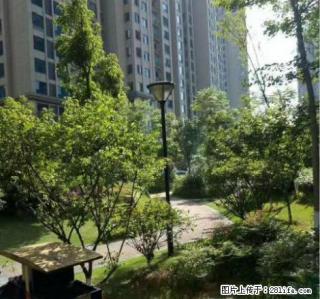 天玺一品 一室一厅 精装 家具家电齐全 室内干净温馨 - 抚州28生活网 fuzhou.28life.com