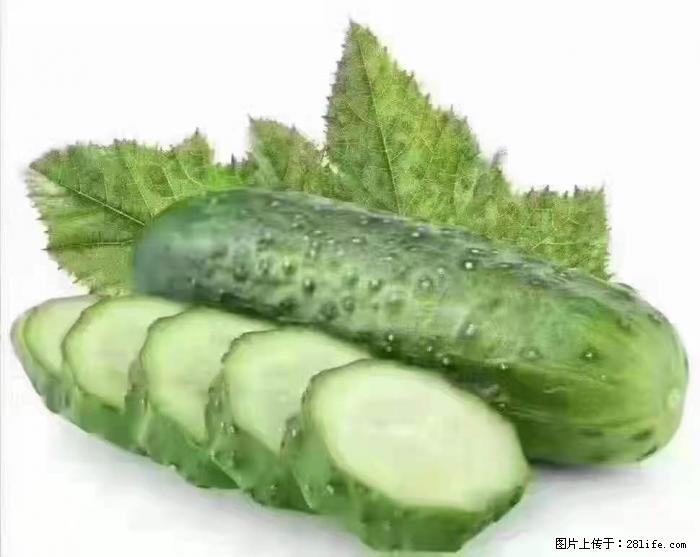 【生活小常识】吃黄瓜的好处 - 生活百科 - 抚州生活社区 - 抚州28生活网 fuzhou.28life.com