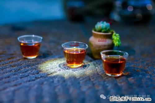 时间果百年古树2025年春红茶 - 购物交流 - 抚州生活社区 - 抚州28生活网 fuzhou.28life.com