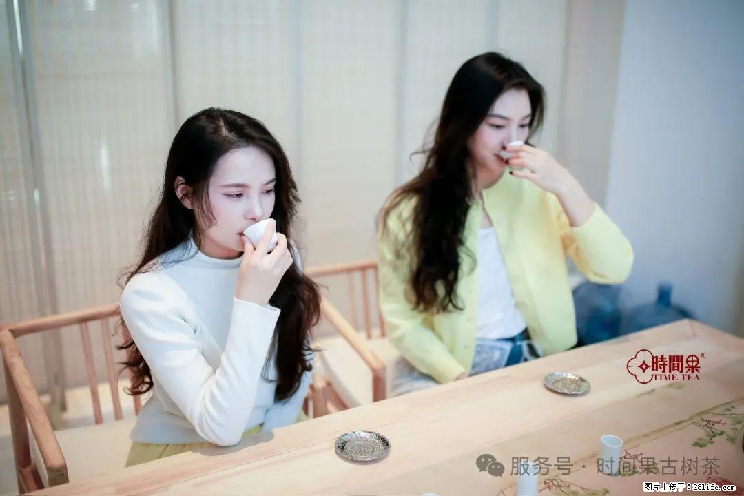 时间果百年古树龙珠普洱生茶 - 购物交流 - 抚州生活社区 - 抚州28生活网 fuzhou.28life.com