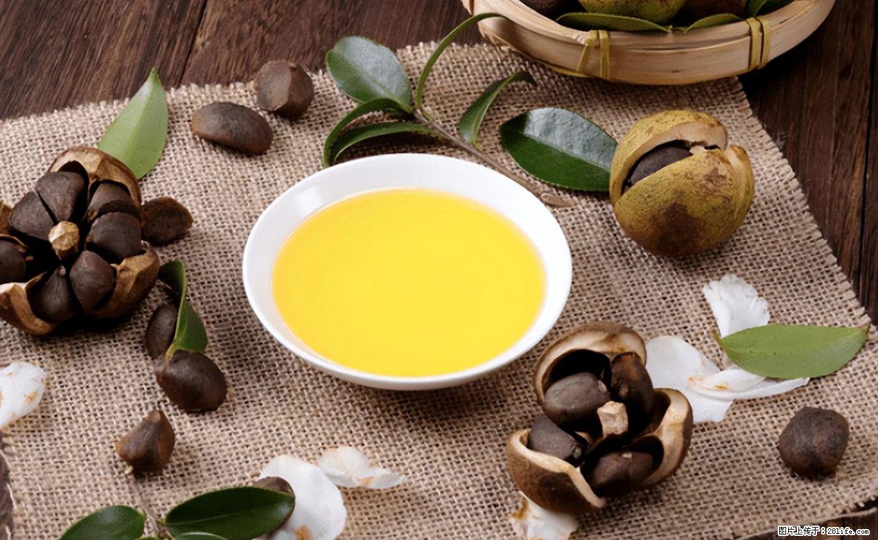 揭秘茶油的5大核心营养成分!被称为人体健康的“守护盾”! - 抚州生活资讯 - 抚州28生活网 fuzhou.28life.com