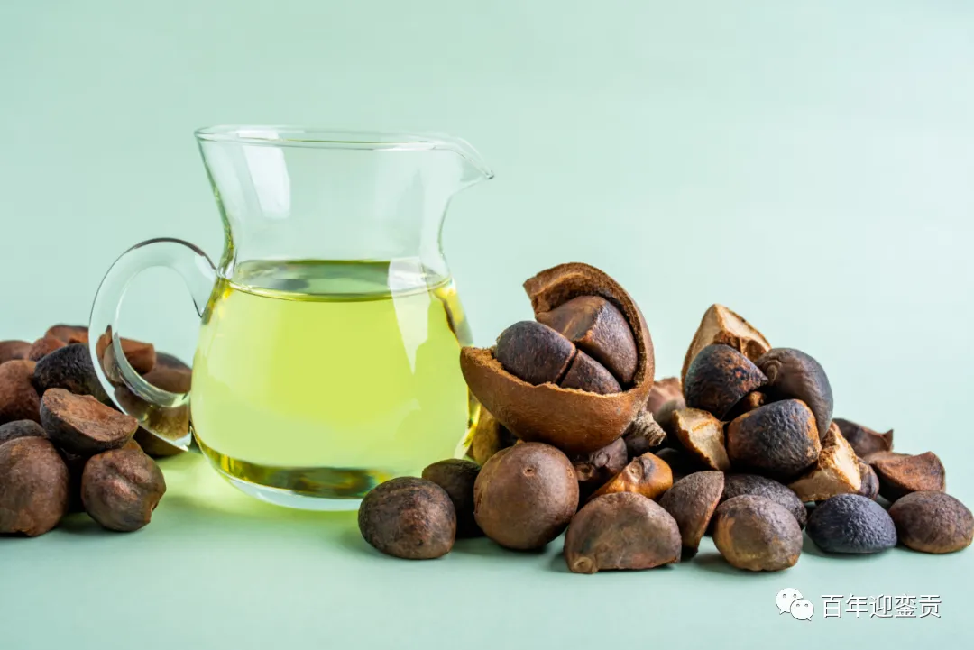 世界没有真相,只有认知,最好的食用油是中国的山茶油! - 抚州生活资讯 - 抚州28生活网 fuzhou.28life.com