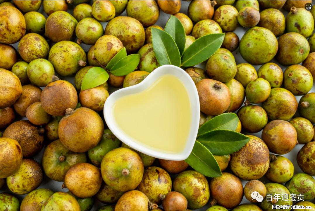 世界没有真相,只有认知,最好的食用油是中国的山茶油! - 抚州生活资讯 - 抚州28生活网 fuzhou.28life.com