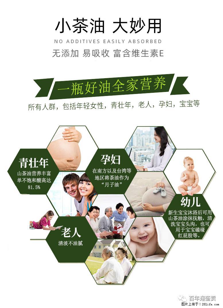 世界没有真相,只有认知,最好的食用油是中国的山茶油! - 抚州生活资讯 - 抚州28生活网 fuzhou.28life.com