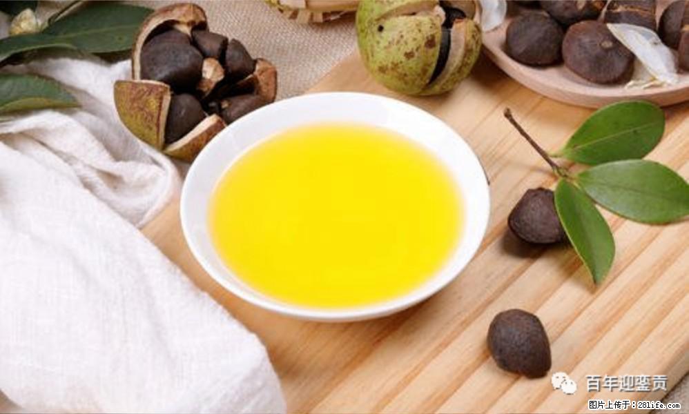 世界没有真相,只有认知,最好的食用油是中国的山茶油! - 抚州生活资讯 - 抚州28生活网 fuzhou.28life.com