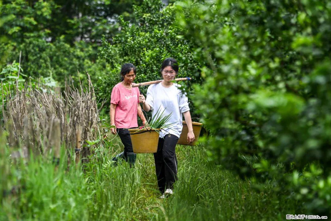 全网追的“扁担女孩”,找了一份暑假工,时薪12元 - 抚州生活资讯 - 抚州28生活网 fuzhou.28life.com