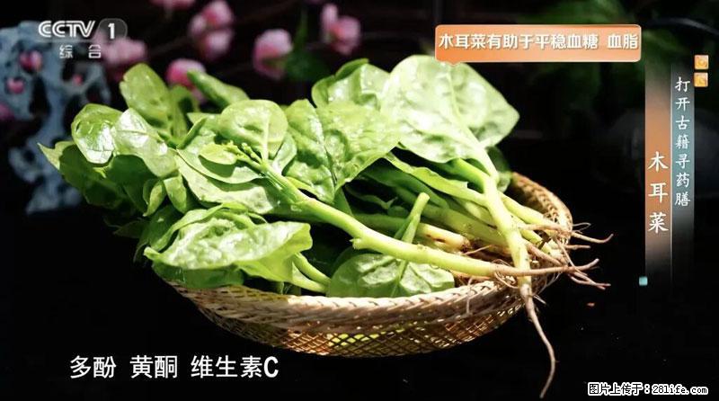 比牛奶补钙还厉害！凉血解毒、稳血糖...这菜冬天必吃，很多人却当草 - 抚州生活资讯 - 抚州28生活网 fuzhou.28life.com