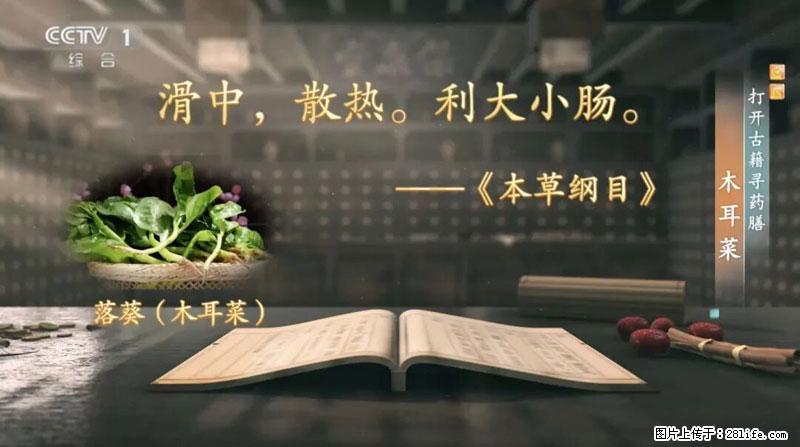 比牛奶补钙还厉害！凉血解毒、稳血糖...这菜冬天必吃，很多人却当草 - 抚州生活资讯 - 抚州28生活网 fuzhou.28life.com