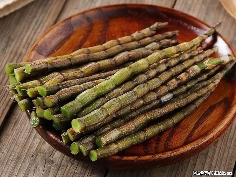铁皮石斛的作用与功能主治 - 抚州生活资讯 - 抚州28生活网 fuzhou.28life.com
